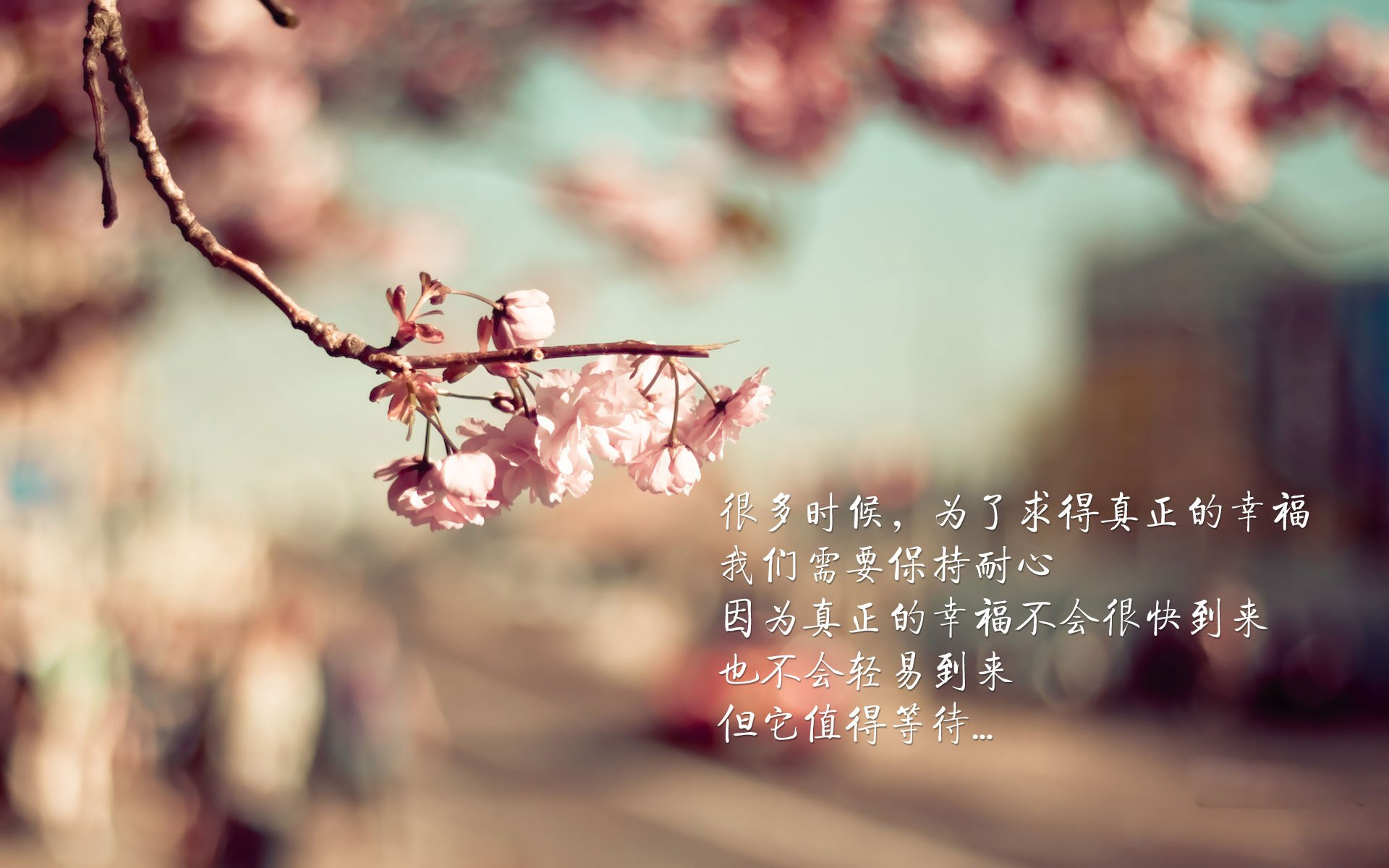 仰泳赛道中立代表队A选手节奏精准,仰泳 2017