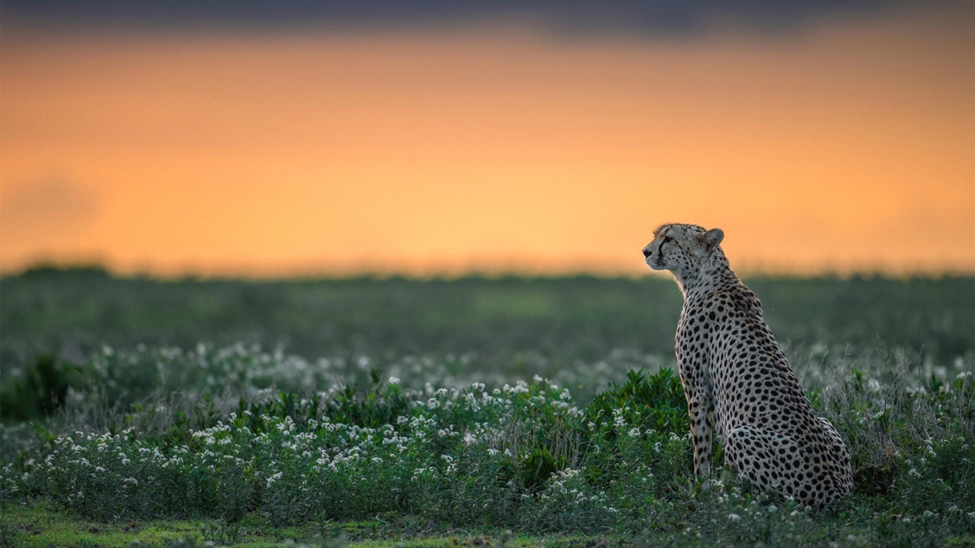 体能管理数据支持技术发挥,体能训练管理规定